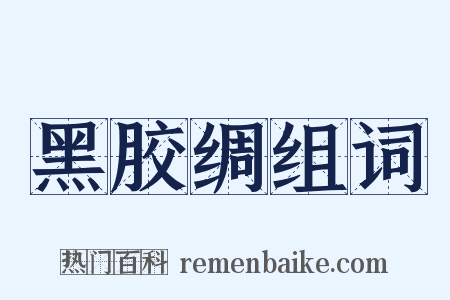 黑胶绸组词是什么意思的图片